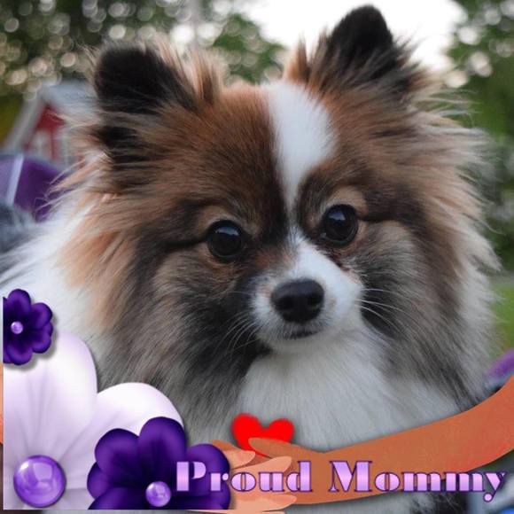 Meet your Posher, Kelly - Picture 1 of 1